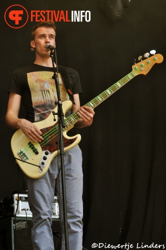 Bevrijdingsfestival Wageningen 2013 foto