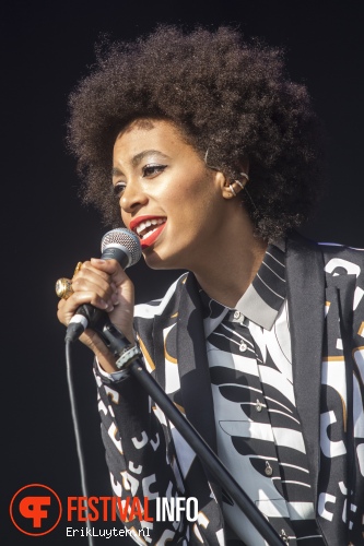 Solange op Field Day London 2013 foto