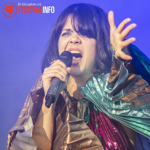 Bat For Lashes op Field Day London 2013 foto