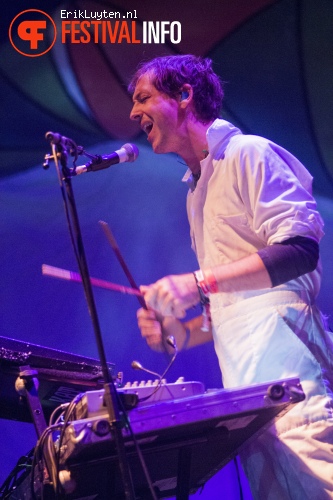 Animal Collective op Field Day London 2013 foto