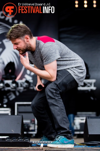 De Jeugd Van Tegenwoordig op Vestrock 2013 foto