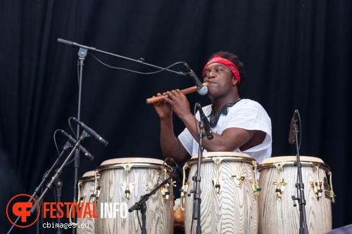 Osibisa op Rotterdam Unlimited 2013 foto