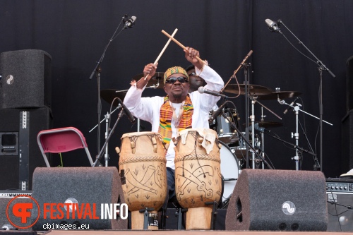 Osibisa op Rotterdam Unlimited 2013 foto