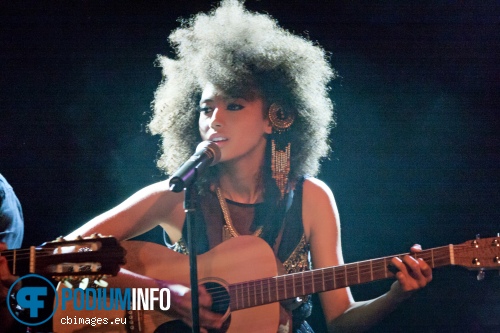 Andy Allo op Andy Allo - 30/6 - Bitterzoet foto