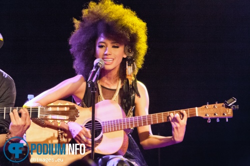 Andy Allo op Andy Allo - 30/6 - Bitterzoet foto