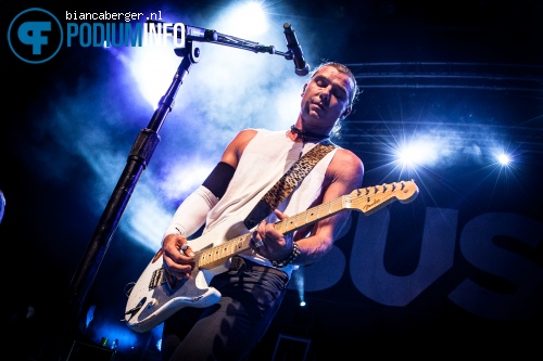 Bush op Bush - 7/7 - Effenaar foto