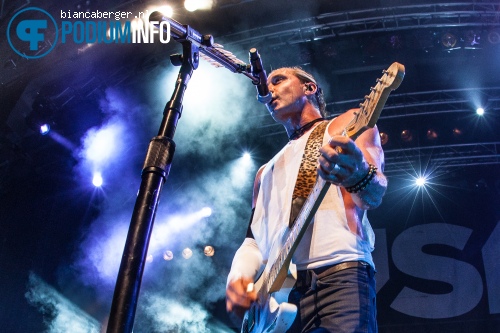 Bush op Bush - 7/7 - Effenaar foto