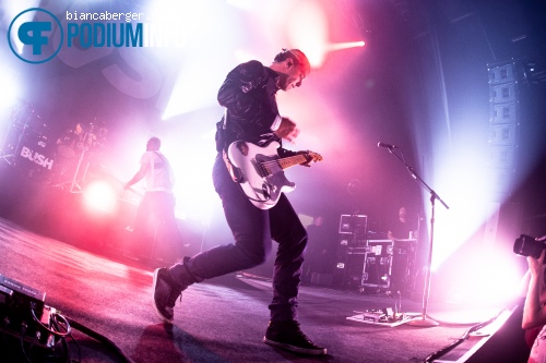 Bush op Bush - 7/7 - Effenaar foto