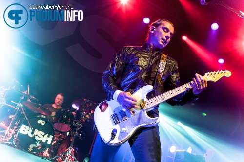 Bush op Bush - 7/7 - Effenaar foto
