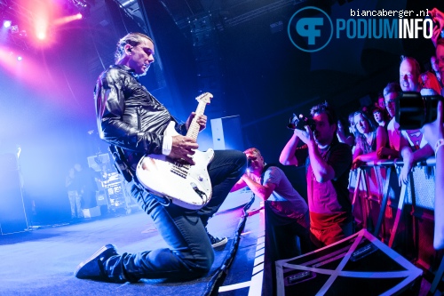 Bush op Bush - 7/7 - Effenaar foto