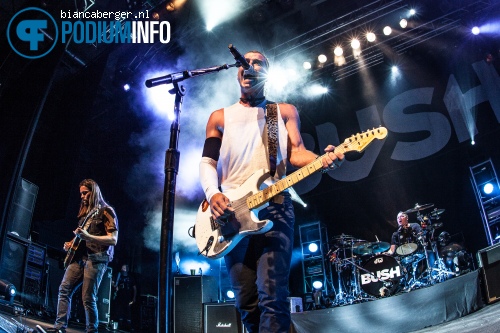 Bush op Bush - 7/7 - Effenaar foto
