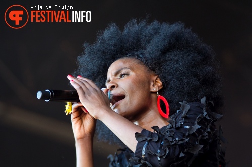 Noisettes op Parkpop 2013 foto