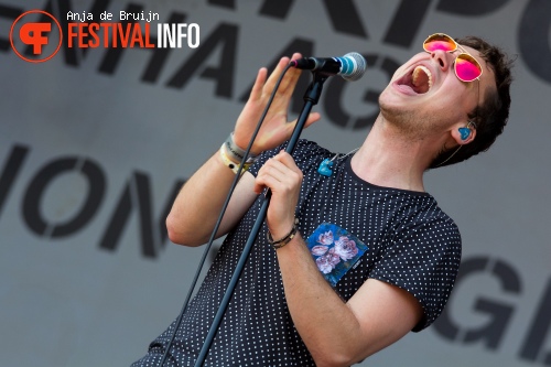 Handsome Poets op Parkpop 2013 foto