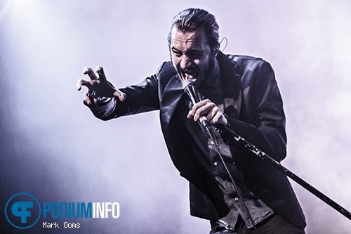 Editors op Editors - 8/7 - Gashouder foto