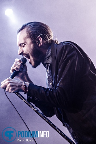 Editors op Editors - 8/7 - Gashouder foto