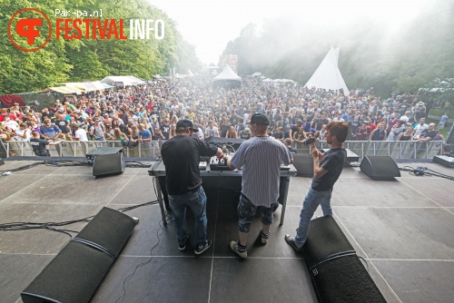 ACID P303WER op Werfpop 2013 foto