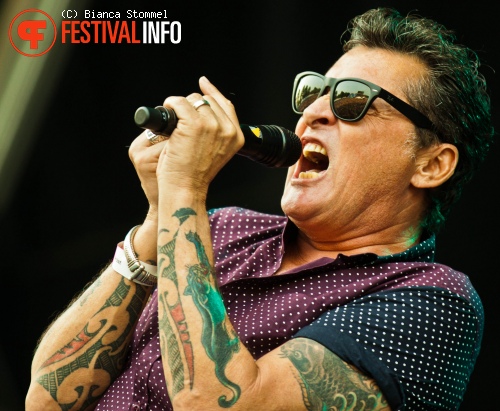 Golden Earring op Bospop 2013 foto