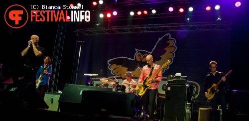 The Fabulous Thunderbirds op Bospop 2013 foto