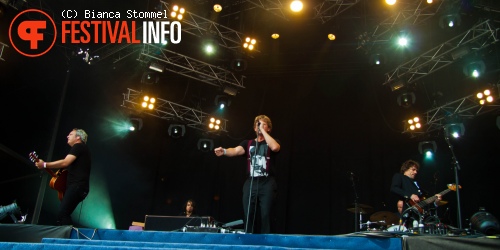 Racoon op Bospop 2013 foto