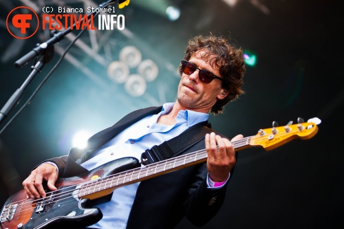 Racoon op Bospop 2013 foto