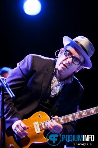 Elvis Costello & the Imposters op Elvis Costello & the Imposters - 19/7 - 013 foto