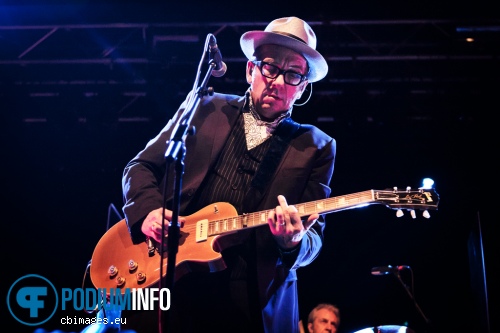 Elvis Costello & the Imposters op Elvis Costello & the Imposters - 19/7 - 013 foto