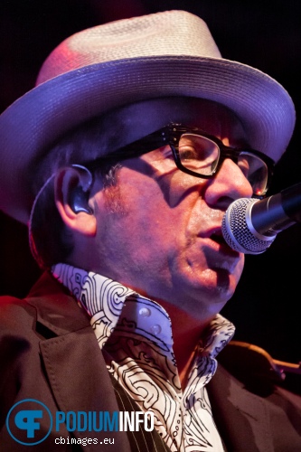 Elvis Costello & the Imposters op Elvis Costello & the Imposters - 19/7 - 013 foto