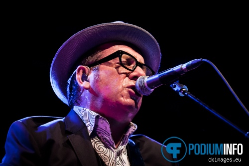 Elvis Costello & the Imposters op Elvis Costello & the Imposters - 19/7 - 013 foto
