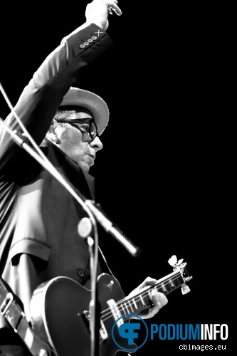 Elvis Costello & the Imposters op Elvis Costello & the Imposters - 19/7 - 013 foto