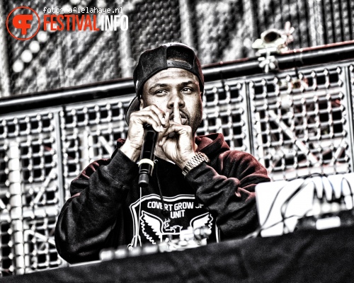 Wu-Tang Clan op Balaton Sound 2013 foto