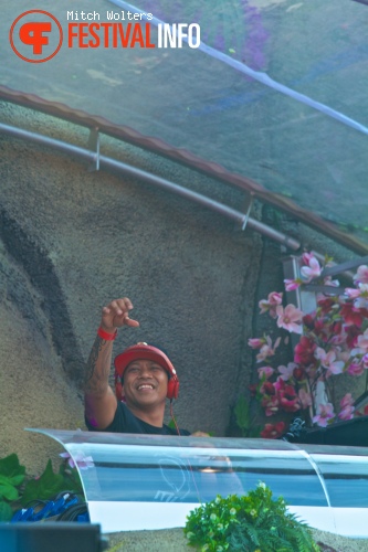 Chuckie op Tomorrowland 2013 foto