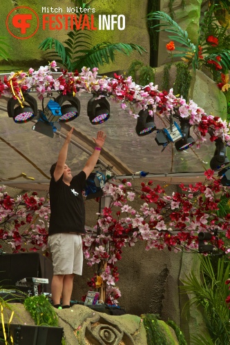 Joachim Garraud op Tomorrowland 2013 foto