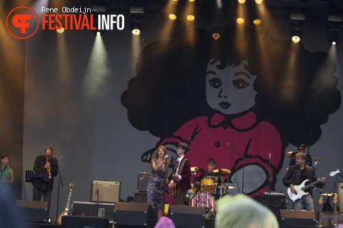 Rick Nolov Band op pinkpop Classic 2013 foto