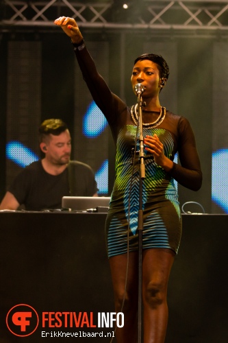 Bonobo op Lowlands 2013 - dag 3 foto