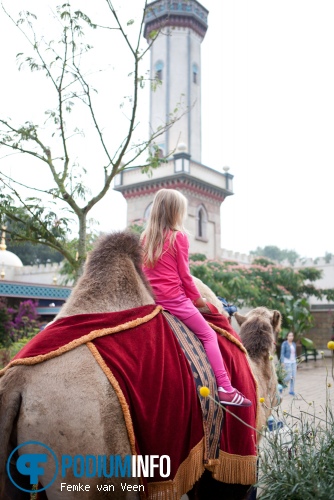 Efteling Zeven Pleinen Festijn 2013: zaterdag 24 augustus foto