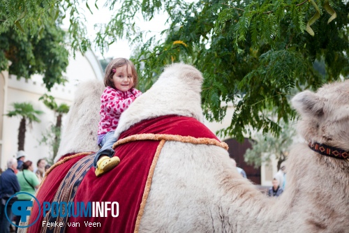 Efteling Zeven Pleinen Festijn 2013: zaterdag 24 augustus foto
