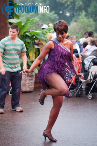 Efteling Zeven Pleinen Festijn 2013: zaterdag 24 augustus foto