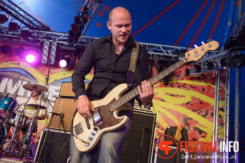 Green Lizard op Kempenerpop 2013 foto