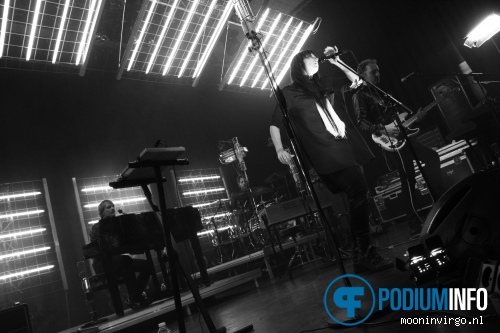 Foto Wende Snijders op Wende - 5/10 - Paard van Troje