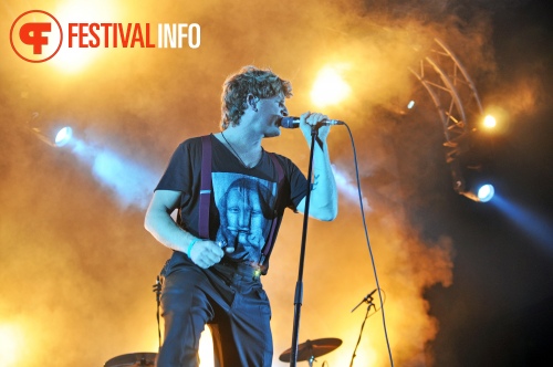 Racoon op Festyland 2013 foto