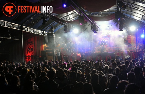 Festyland 2013 foto