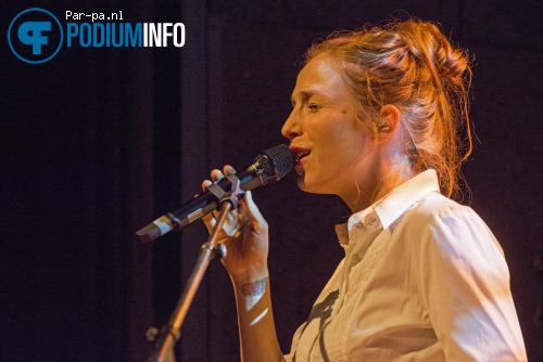 Ozark Henry op Ozark Henry - 17/10 - Tivoli foto