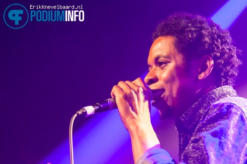 HEDON ALL STARS op Opening nieuw Hedon - 06-02 foto