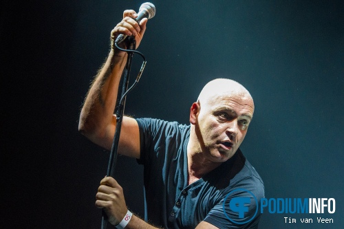 Foto Vandale op Status Quo - 23/3 - Ijsselhallen Zwolle
