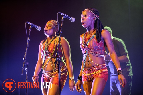 Seun Kuti & Egypt 80 op Motel Mozaique 2014 foto