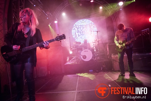 True Widow op Roadburn 2014 - Dag 1 foto