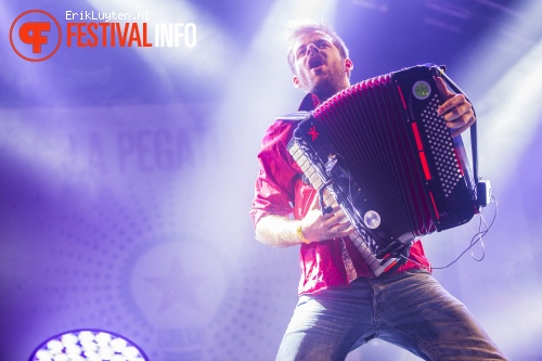 La Pegatina op Paaspop 2014 foto