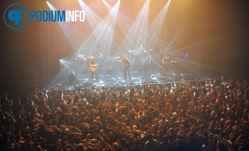 Foto Racoon op Racoon - 22/4 - 013