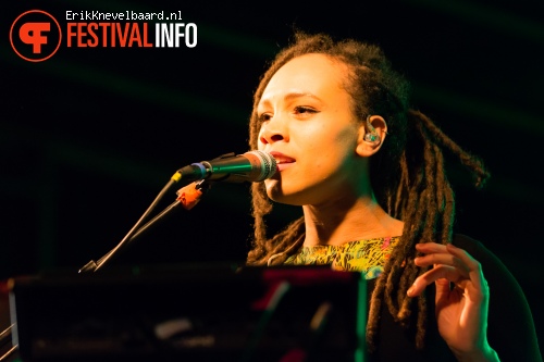 The Skints op Life I Live Festival 2014 foto