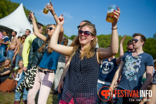 Bevrijdingsfestival Utrecht 2014 foto